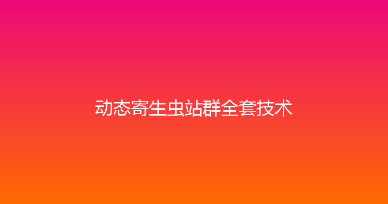 动态寄生虫站群全套技术 封面图