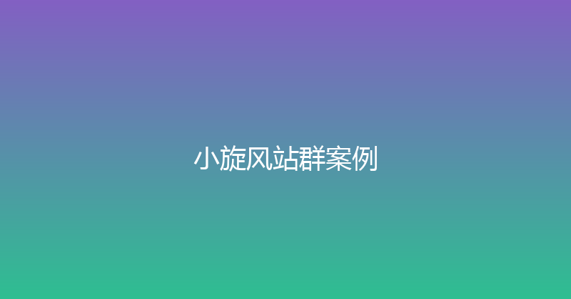 小旋风站群案例 封面图