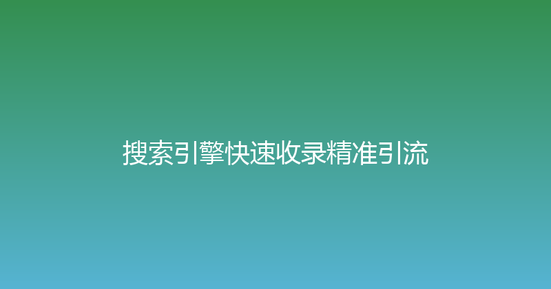 搜索引擎快速收录精准引流 封面图
