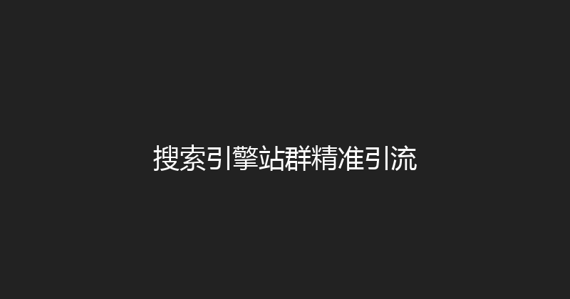 搜索引擎站群精准引流 封面图