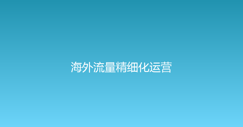 海外流量精细化运营 封面图