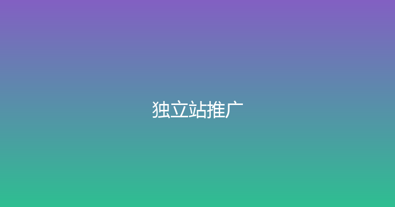 独立站推广 封面图