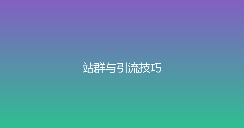 站群与引流技巧 封面图