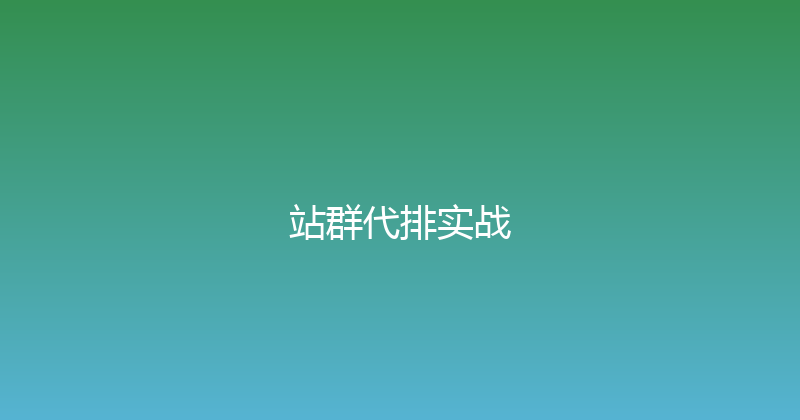 站群代排实战 封面图