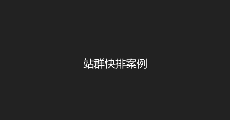 站群快排案例 封面图