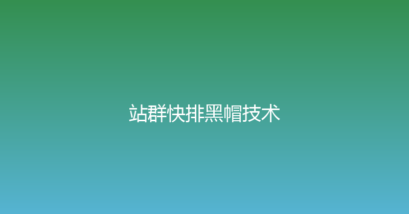 站群快排黑帽技术 封面图