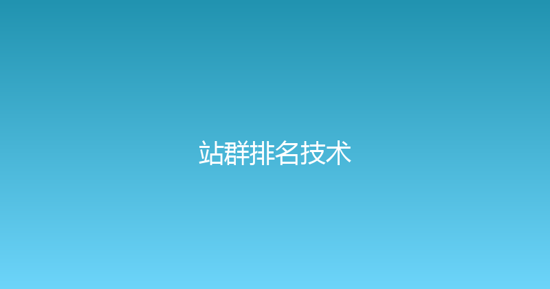 站群排名技术 封面图