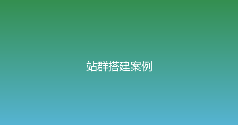站群搭建案例 封面图