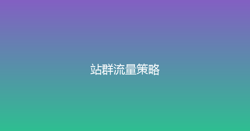 站群流量策略 封面图
