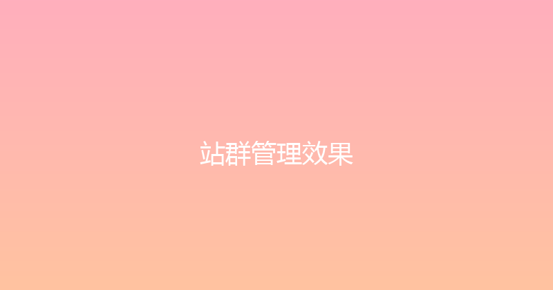 站群管理效果 封面图