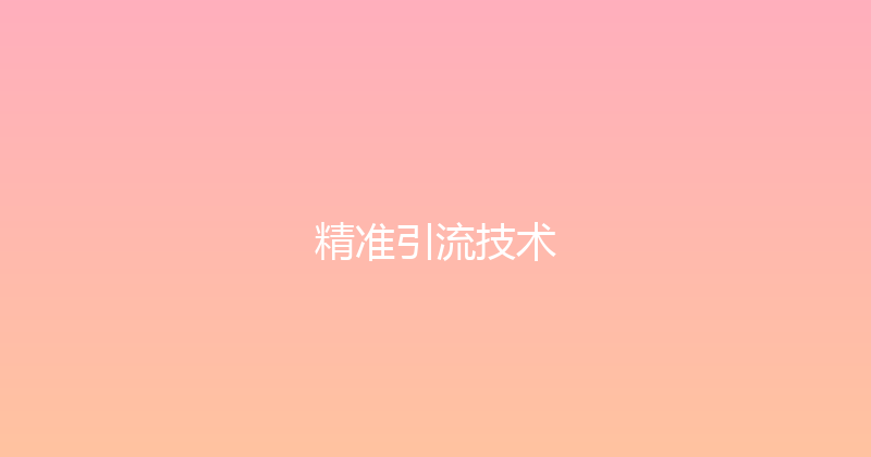 精准引流技术 封面图