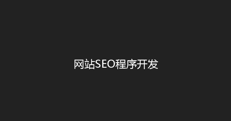 网站SEO程序开发 封面图