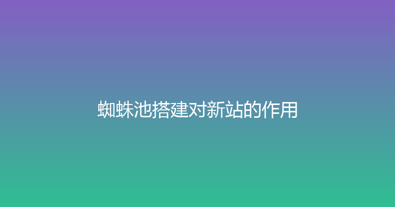 蜘蛛池搭建对新站的作用 封面图
