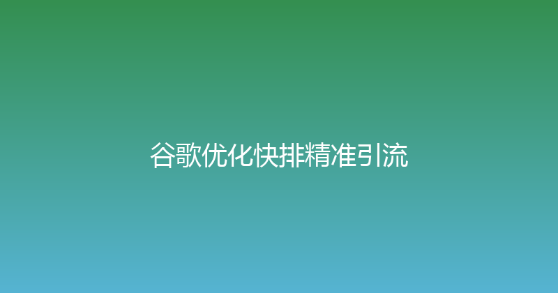 谷歌优化快排精准引流 封面图
