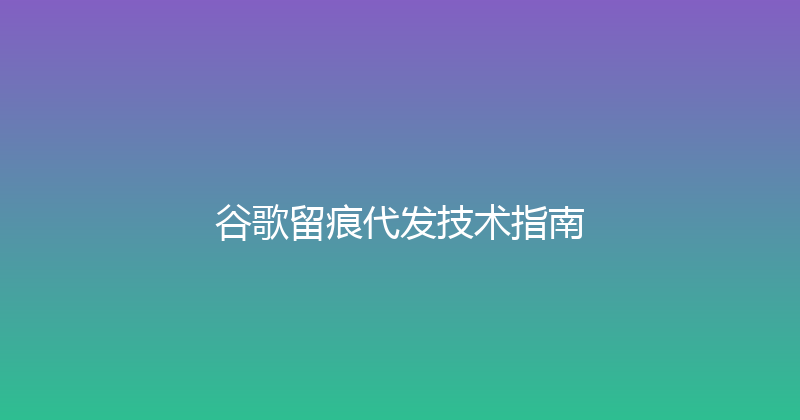 谷歌留痕代发技术指南 封面图