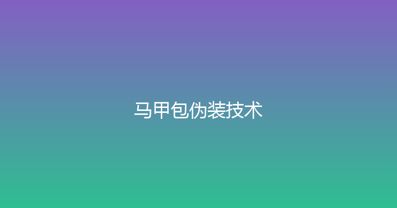 马甲包伪装技术 封面图