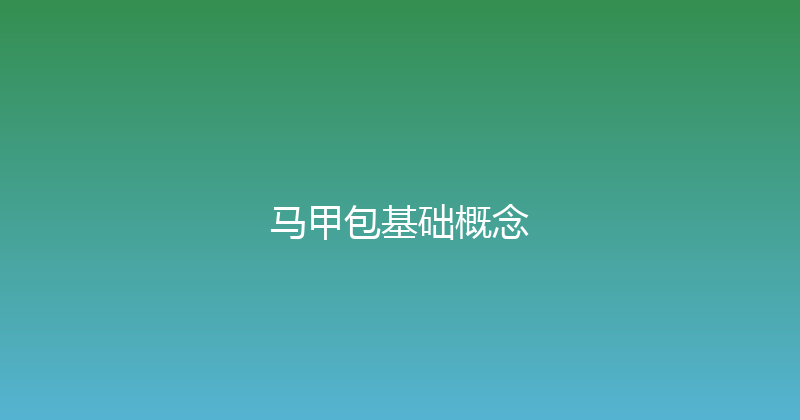 马甲包基础概念 封面图