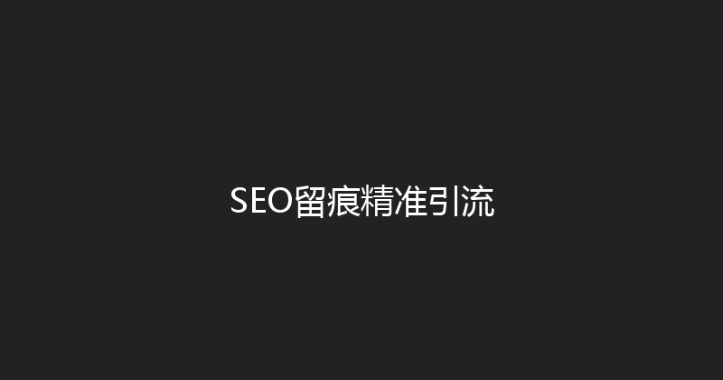 SEO留痕精准引流 封面图